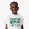 Baumwoll-T-Shirt mit Grafikprint