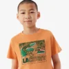 Baumwoll-T-Shirt mit Grafikprint