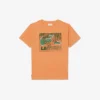 Baumwoll-T-Shirt mit Grafikprint