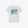 Baumwoll-T-Shirt mit Grafikprint