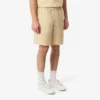 Baumwollshorts mit Krokodil-Print und Streifen