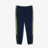 Herren-Jogginghose in Regular-Passform
