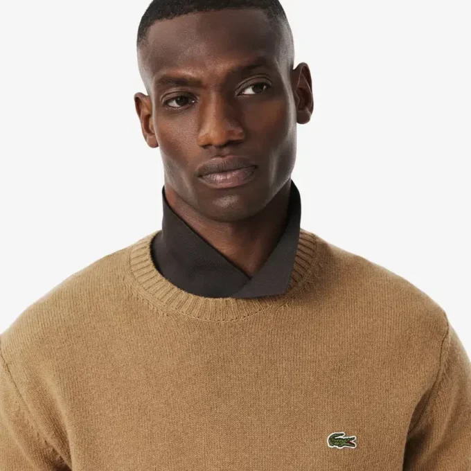 Herren-Pullover aus Wolle mit Rundhalsausschnitt