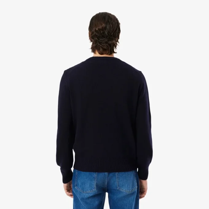 Herren-Pullover aus Wolle mit Rundhalsausschnitt