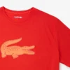 Herren-Sport-T-Shirt aus Baumwolle mit Print in Tall Fit
