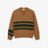 Herren-Strickpullover aus Wolle mit V-Ausschnitt