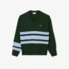 Herren-Strickpullover aus Wolle mit V-Ausschnitt