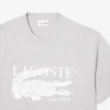 Herren-T-Shirt aus Baumwolle mit Print in klassischer Passform