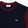 Herren-T-Shirt aus Baumwolle mit Regular Fit und Farbblock-Design