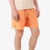 Lacoste Tennis X Novak Djokovic Shorts für Herren