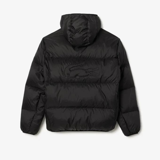 Wasserabweisende Herren-Daunenjacke mit Kapuze